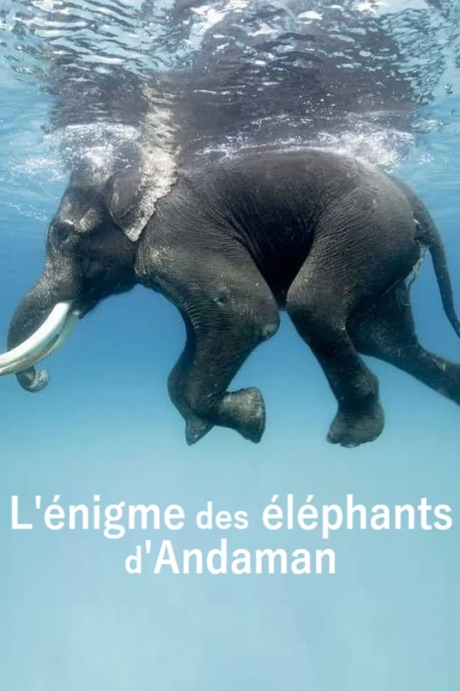 L'énigme des éléphants d'Andaman