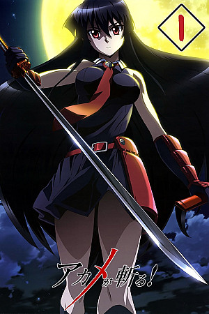 Red Eyes Sword: Akame ga Kill!