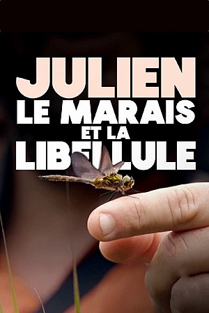 Julien, le marais et la libellule