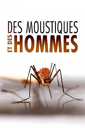 Des Moustiques et des Hommes