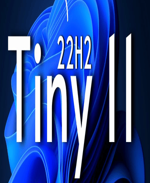 Tiny v11.x
