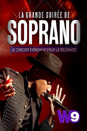 La grande soirée de Soprano, Le concert pour la tolérance